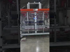 6 heads Automatic Carton Box Packing Machine, 25 Boxes/Min