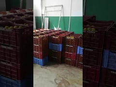 Fruit Vegetable Juice Making Production line