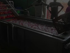 Condensed tomato paste making production line