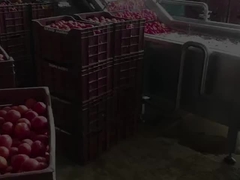Condensed fruit juice/tomato paste processing production line